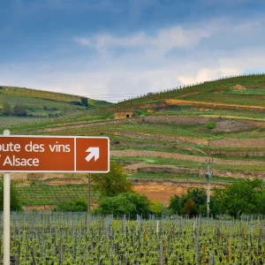 panneau route des vins