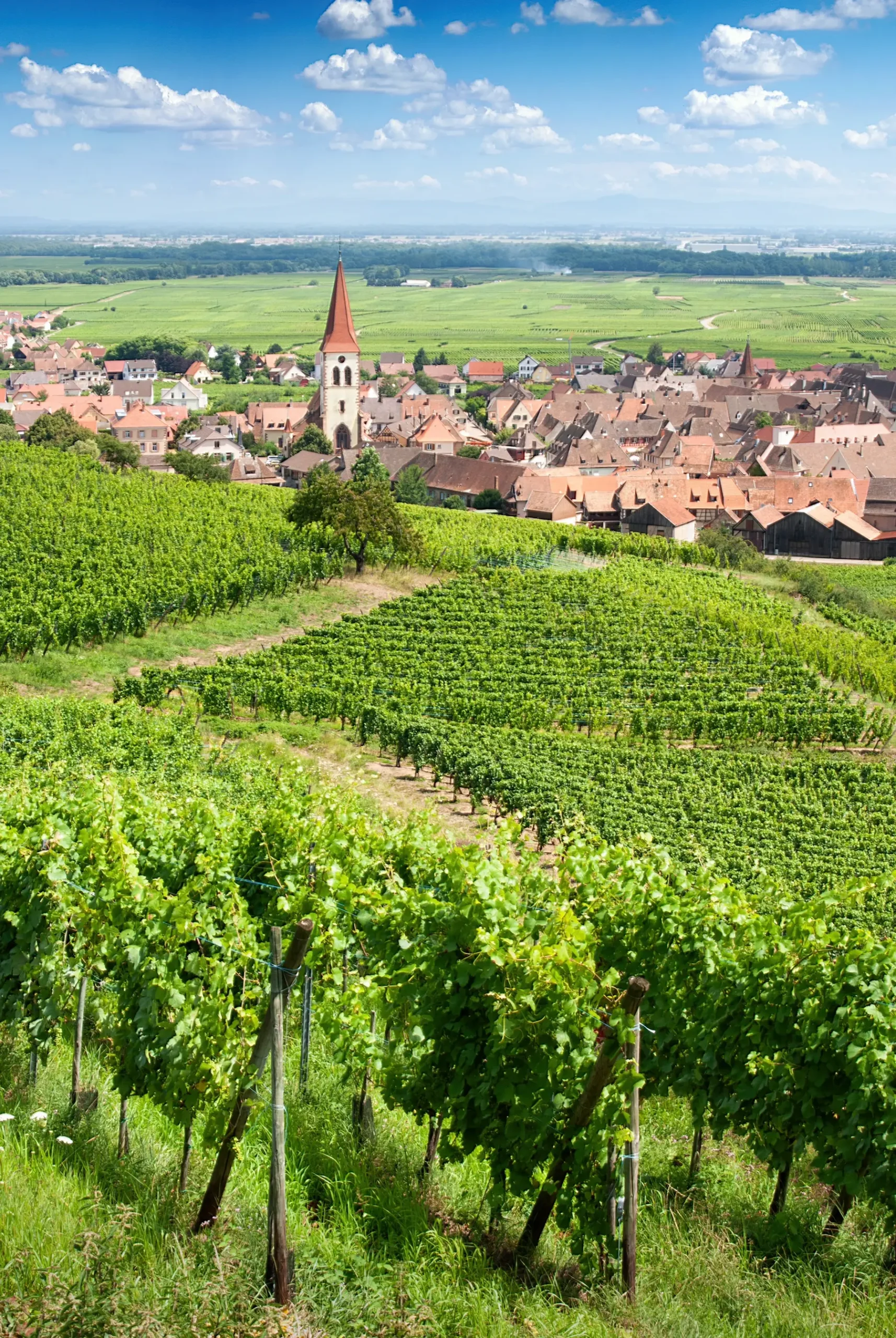 paysage vertical