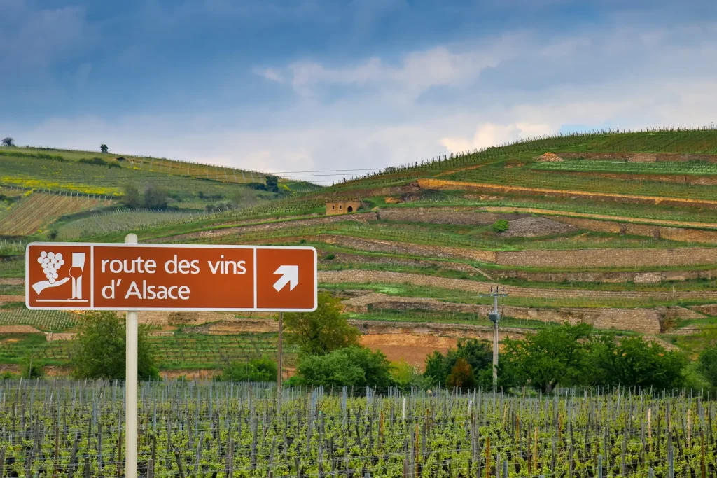 Découvrir les vendanges en alsace : un savoir-faire unique panneau route des vins